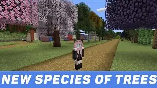 Dynamic Trees - Biomes O' Plenty Compat mod tutorial. Guide. Live trees everywhere (Minecraft java)