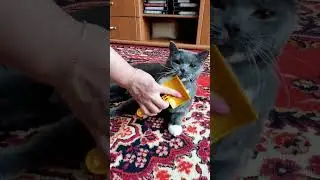 Какая красота!