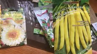 Что я буду сеять и сажать в мае