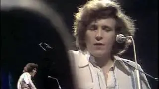 Don McLean - Vincent