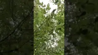 Вся правда про ютуб
