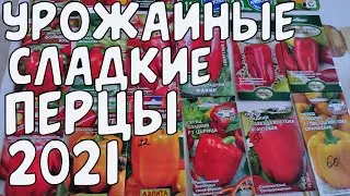 УРОЖАЙНЫЕ СОРТА И ГИБРИДЫ СЛАДКОГО ПЕРЦА 2021.