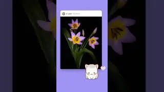 💜🦑