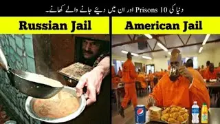 10 Unusual Prisons And Their Foods | Mr. Cheetah🐯