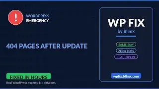 404 Pages After Update - Fix It Fast | No Data Loss | WP Fix by Blimx