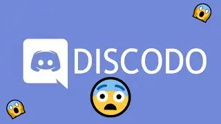 discodo 😍