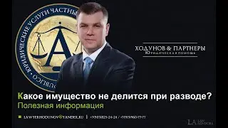Какое имущество не делится при разводе
