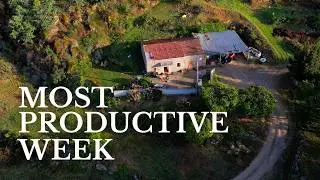 #47 What Homestead Life in Portugal Is REALLY Like | BACK to BASICS