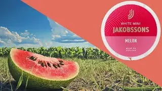Watermelon Blisssss... Jakobssons White Mini Melon Snus