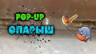 Как сделать Pop-UP из ОПАРЫША! Плавающий опарыш для рыбалки в домашних условиях