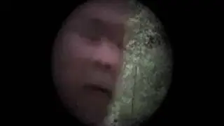 Run Survivor Guy