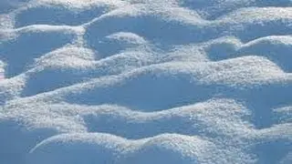 Lame Snow...