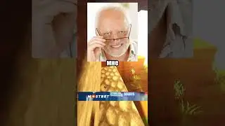 душнила 24 | В мире животных