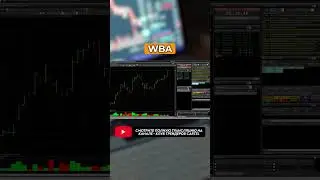 Обзор рынка Акций США I Август 2024