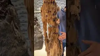 Best cutting wood | Natural wood making