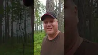 Nokta Triple Score - тест совсем скоро!