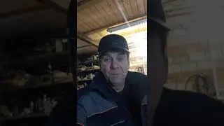 Как растопить лёд в бачке омывателя.