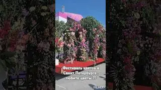 #цветы#локация#дизайн#flowers#санктпетербург#питер#где#что#фестиваль#искусство