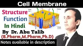 Cell Membrane Anatomy And Physiology In Hindi||Structure of Cell Membrane||Function of Cell Membrane