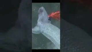 Naruto White Snake Fight Edit 🔥🔥