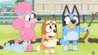 Diversión en el parque | Bluey Español Canal Oficial