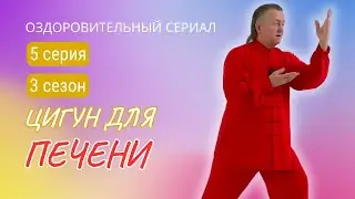 💥 ЦИГУН ДЛЯ ПЕЧЕНИ И ЖЕЛЧНОГО ПУЗЫРЯ | 5 серия. 3 сезон. Оздоровительный сериал Виктора Стерликова