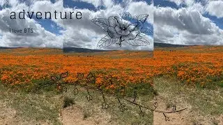 poppy adventure