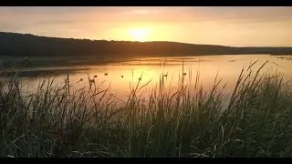 Стрим Канала Опытного Охотника.