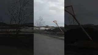 Помните как белый медведь пришёл в Талнах?