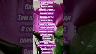 Прощай, июль... 