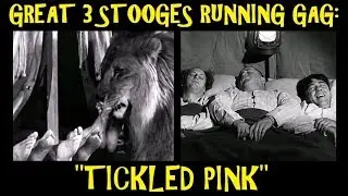 Great 3 Stooges Running Gag: 