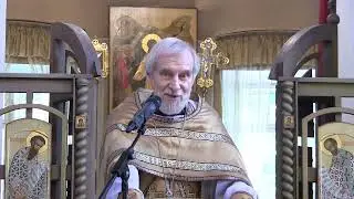 Проповедь на Литургии 25 06 2023 прот. Александр Борисов