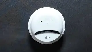 Hidden camera or Smoke alarm? #camduck