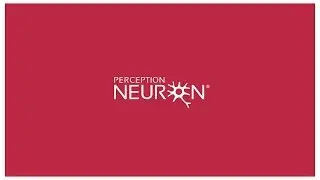 Live with Perception Neuron (REVIEW)  3 Essential Keys