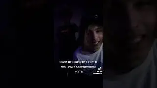 lifestyle на всех музыкальных площадках