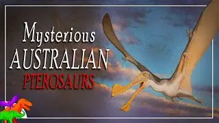 Oldest Australian Pterosaurs Present New Prehistoric Problem