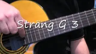Stämma gitarr