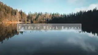 Beautiful Lake in the Black Forest in Winter - DJI Mavic Air 2