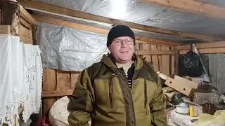 дополнительный прополис в улье. как его добыть?)))