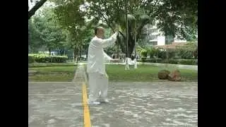 Ng  Tai Chi Short Form   吳家30式精簡太極拳   Yuen Hong Nin