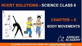 NCERT Solutions for Class 6 Science Chapter 8 Body Movements