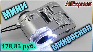 Портативный карманный мини 60X микроскоп + фонарь товары с AliExpress