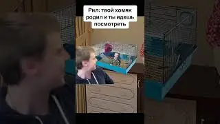 #mellstroy #mem #угарныевидосы #прикол