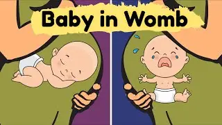 Amazing Things Unborn Babies Can Do In Womb