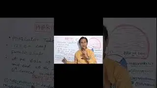 Nasopharynx In Hindi#shorts#viralvideo#viralshorts