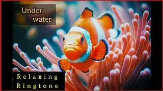 Piano Ringtone | Mobile Ringtone