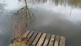 річка,пес і качурі