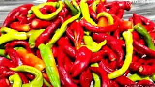 Горький Перец на Зиму. Для тех, кто любит погорячее! Съедается без остатка, и даже маринад.