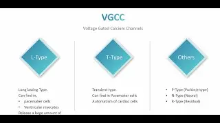 Types of Voltage Gated Calcium Channels (VGCC).