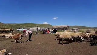 This nomadic family lives alone in the mountains for six months of the year